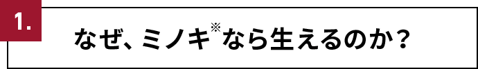 1.なぜ、ミノキ※なら生えるのか？