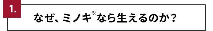 1.なぜ、ミノキ※なら生えるのか？