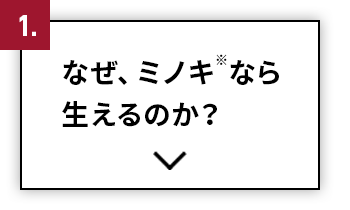 なぜ、ミノキ※なら生えるのか？