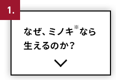 なぜ、ミノキ※なら生えるのか？