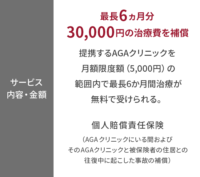 【サービス内容・金額】
最長6か月分30,000円の治療費を補償
提携するAGAクリニックを 月額限度額（5,000円）の範囲内で最長6か月間治療が無料で受けられる。
個人賠償責任保険（AGAクリニックにいる間およびそのAGAクリニックと被保険者の住居との往復中に起こした事故の補償）