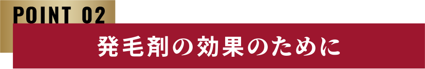 POINT 02 発毛剤の効果のために