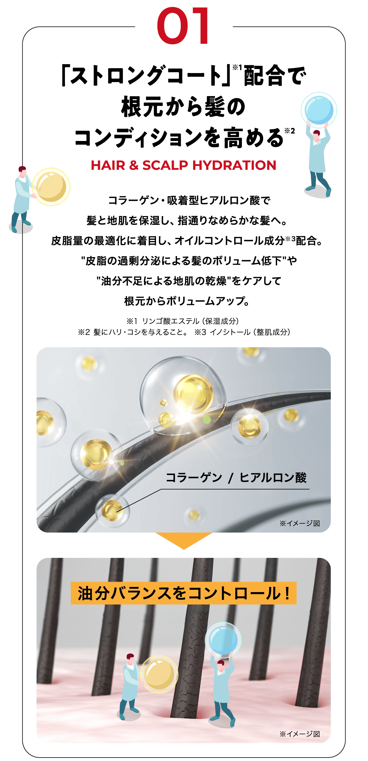 「ストロングコート」※1配合で根元から髪のコンディションを高める※2 コラーゲン・吸着型ヒアルロン酸で髪と地肌を保湿し、指通りなめらかな髪へ。皮脂量の最適化に着目し、オイルコントロール成分※3配合。"皮脂の過剰分泌による髪のボリューム低下"や"油分不足による地肌の乾燥"をケアして根元からボリュームアップ。※1 リンゴ酸エステル（保湿成分） ※2 髪にハリ・コシを与えること。 ※3 イノシトール（整肌成分）