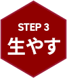 STEP 3 生やす