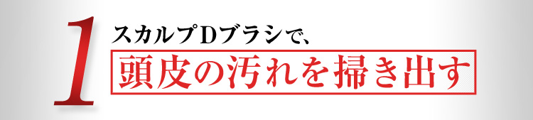 1.スカルプDブラシで頭皮の汚れを掃き出す