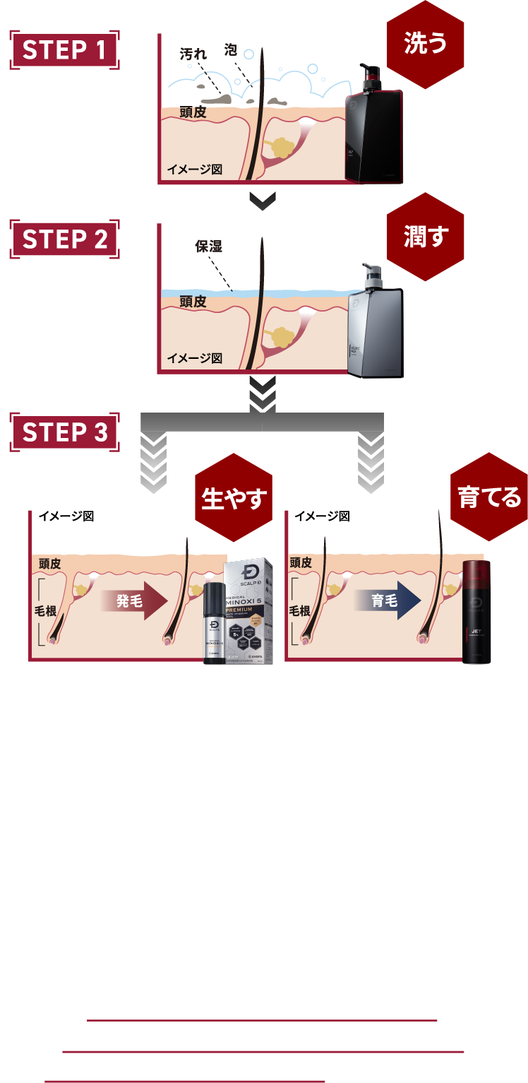 SCALP-D  BRAND  CONCEPT