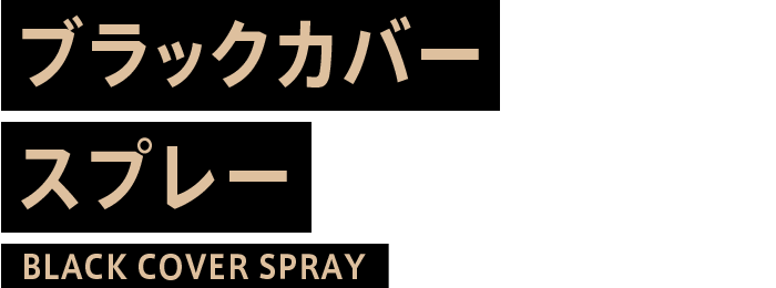 ブラックカバースプレー BLACK COVER SPRAY