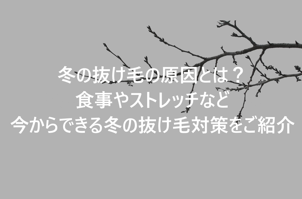 見つけよう！あなたの冬の抜け毛ケア対策～冷え編～