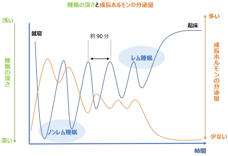 2．睡眠