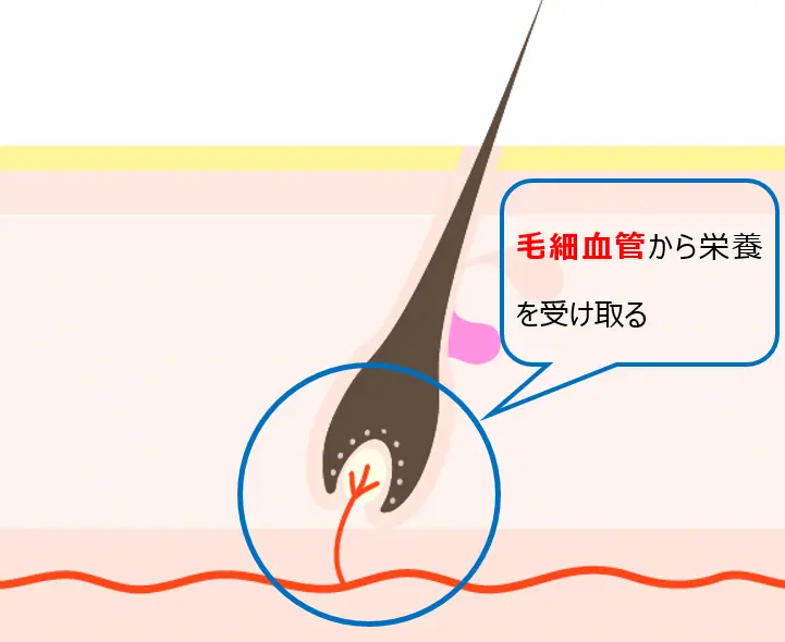 3.ストレス