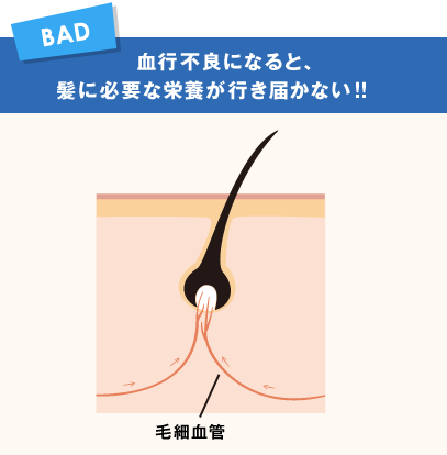 BAD　血行不良になると、髪に必要な栄養が行き届かない!!